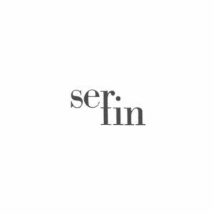 progettazione-grafica-logo-serfin